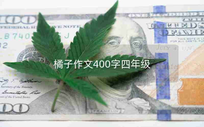 橘子作文400字四年级