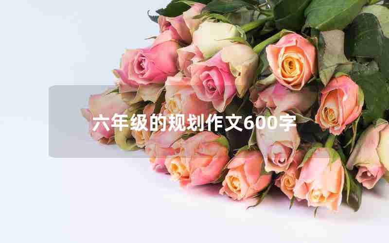 六年级的规划作文600字