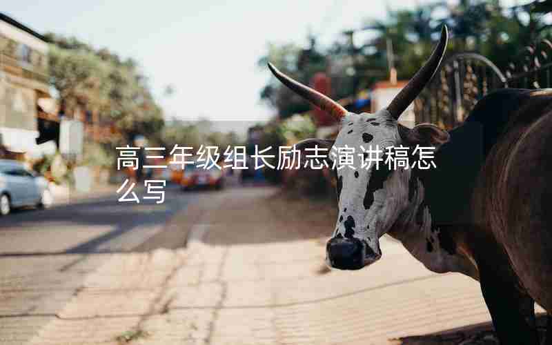 高三年级组长励志演讲稿怎么写