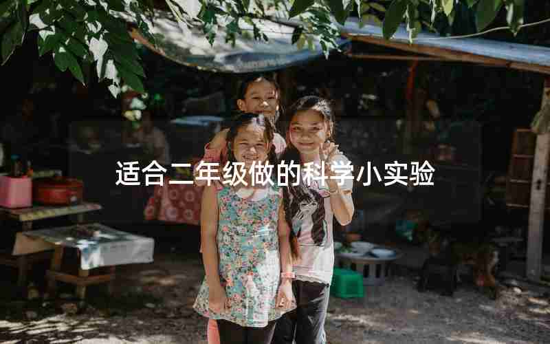 适合二年级做的科学小实验