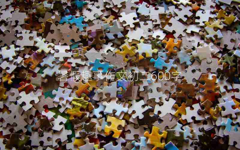 暑假趣事作文初二600字