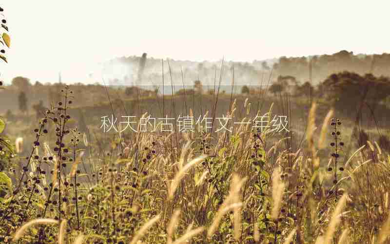 秋天的古镇作文一年级