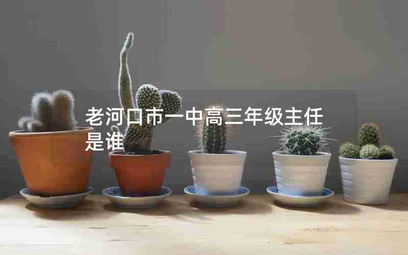 老河口市一中高三年级主任是谁