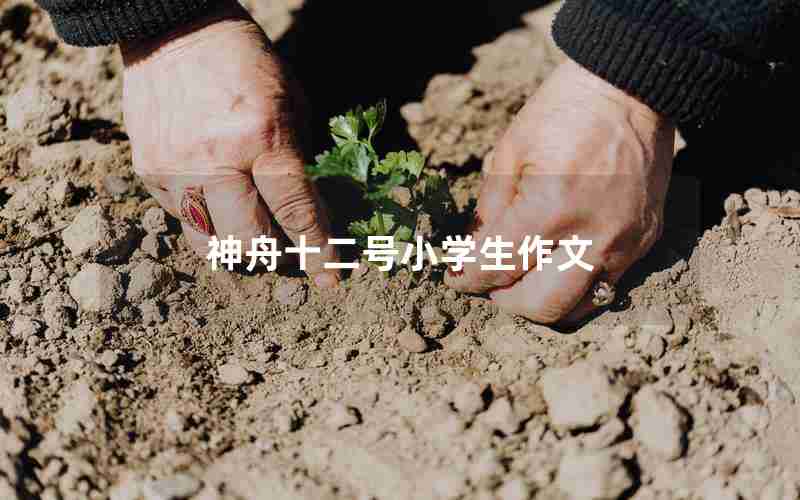 神舟十二号小学生作文
