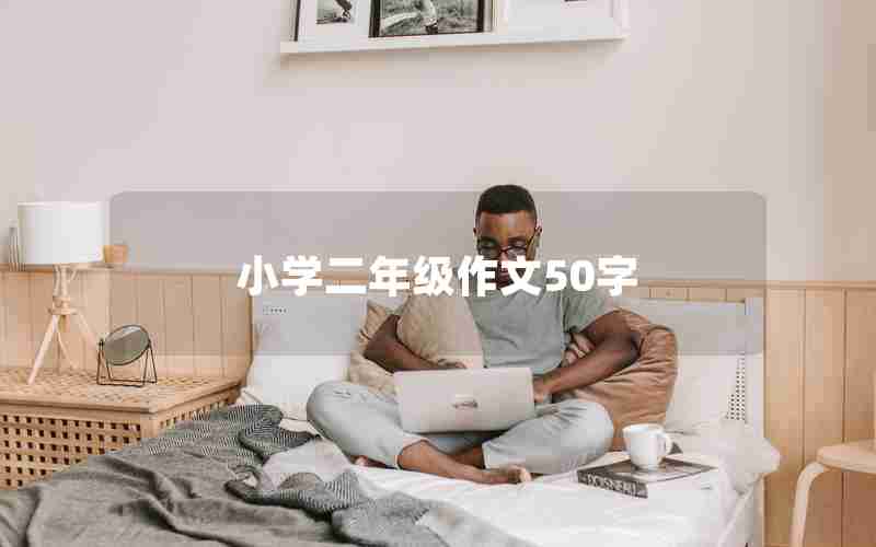 小学二年级作文50字