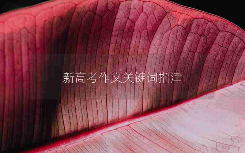 新高考作文关键词指津