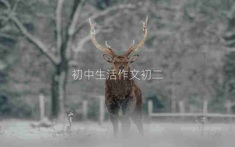 初中生活作文初二