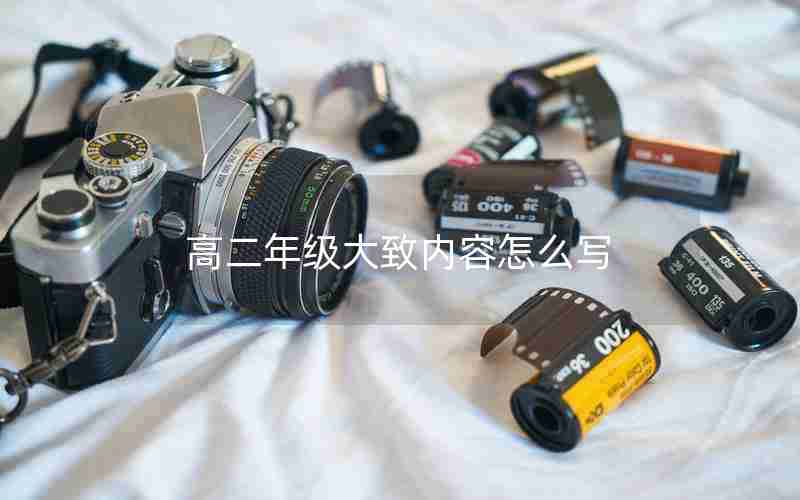 高二年级大致内容怎么写