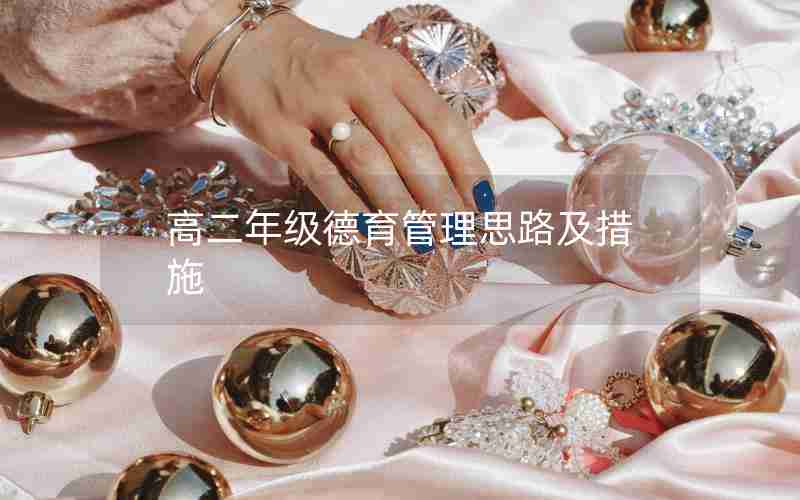 高二年级德育管理思路及措施