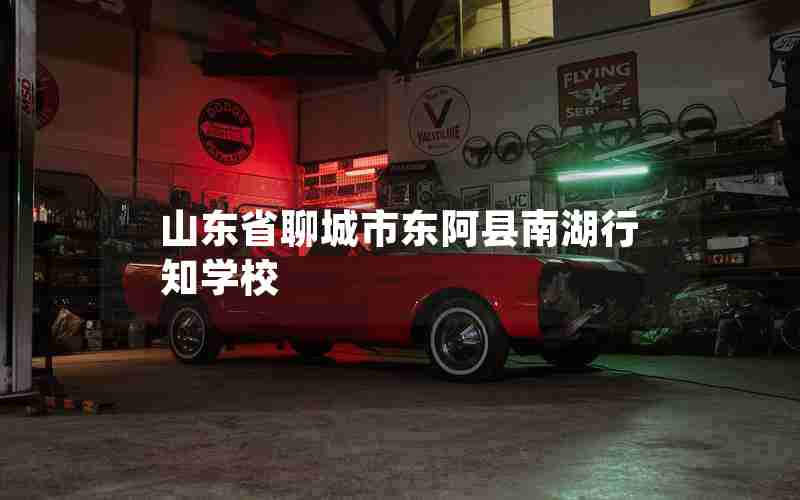 山东省聊城市东阿县南湖行知学校
