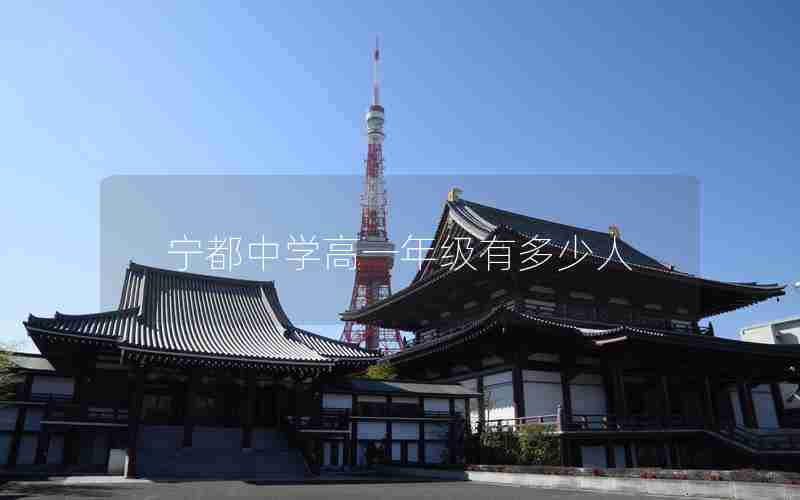 宁都中学高一年级有多少人