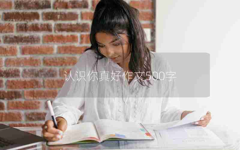 认识你真好作文500字