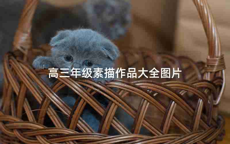 高三年级素描作品大全图片