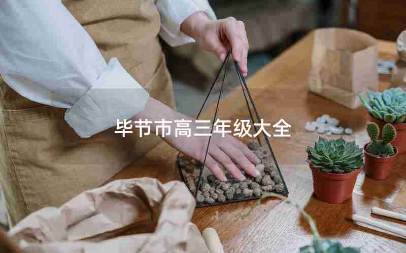 毕节市高三年级大全