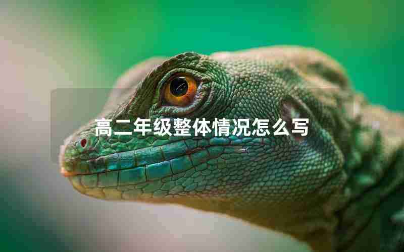 高二年级整体情况怎么写