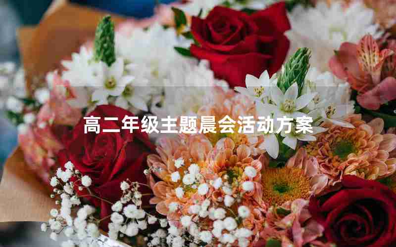 高二年级主题晨会活动方案