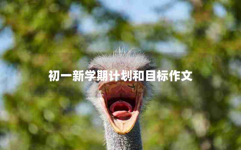初一新学期计划和目标作文