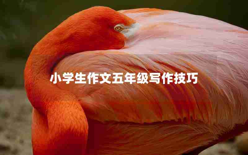 小学生作文五年级写作技巧