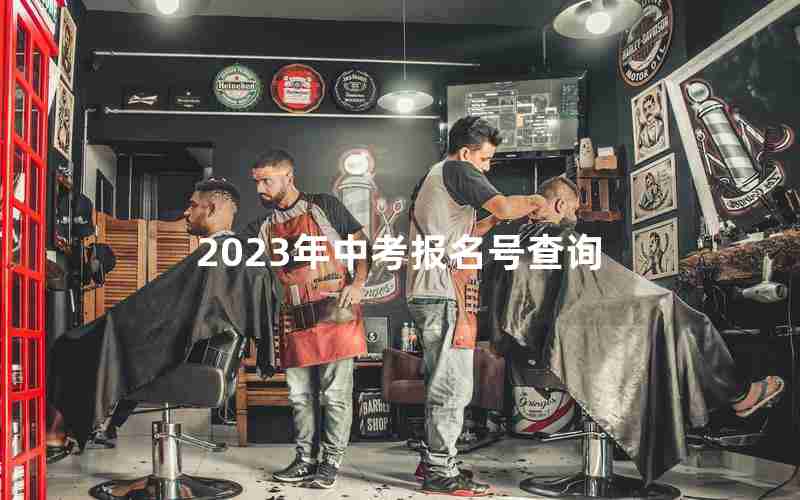 2023年中考报名号查询