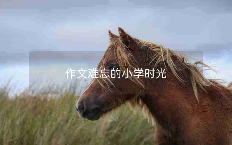 作文难忘的小学时光