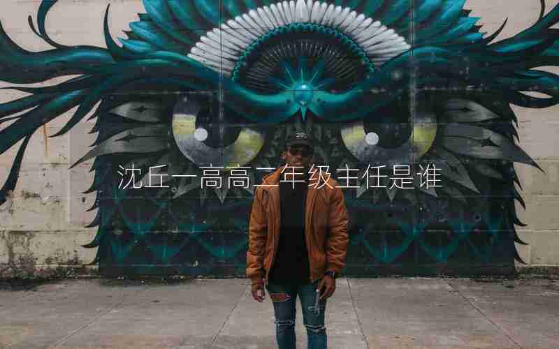 沈丘一高高二年级主任是谁