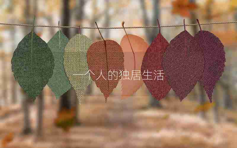 一个人的独居生活
