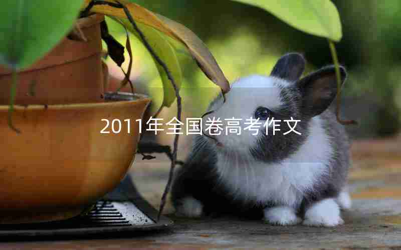 2011年全国卷高考作文