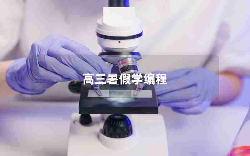 高三暑假学编程