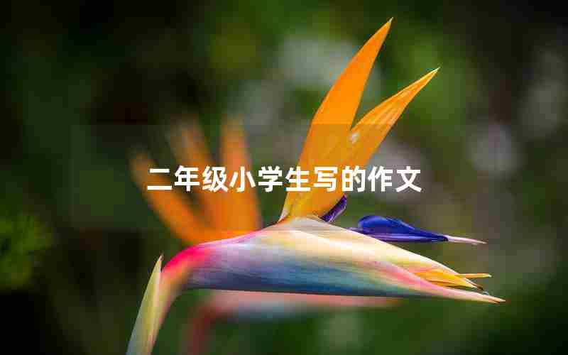 二年级小学生写的作文