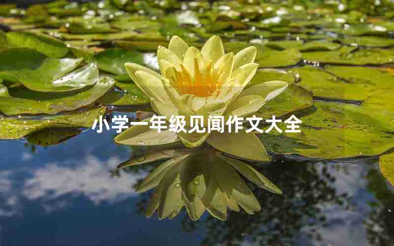 小学一年级见闻作文大全