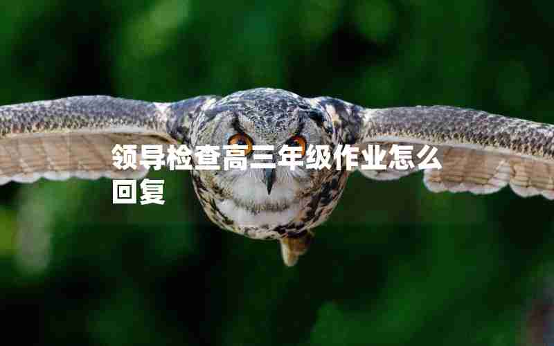 领导检查高三年级作业怎么回复