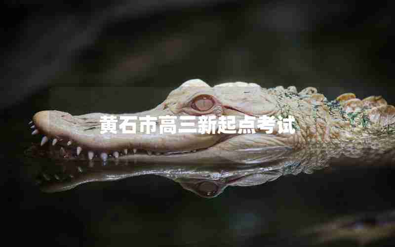 黄石市高三新起点考试