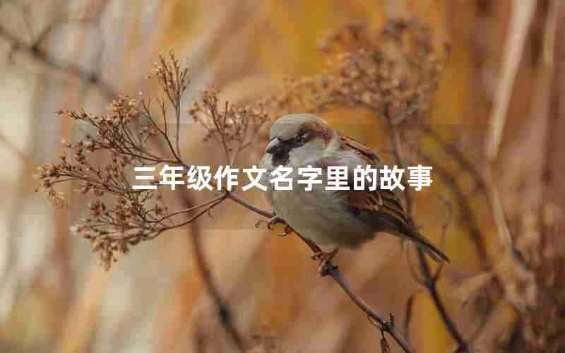 三年级作文名字里的故事