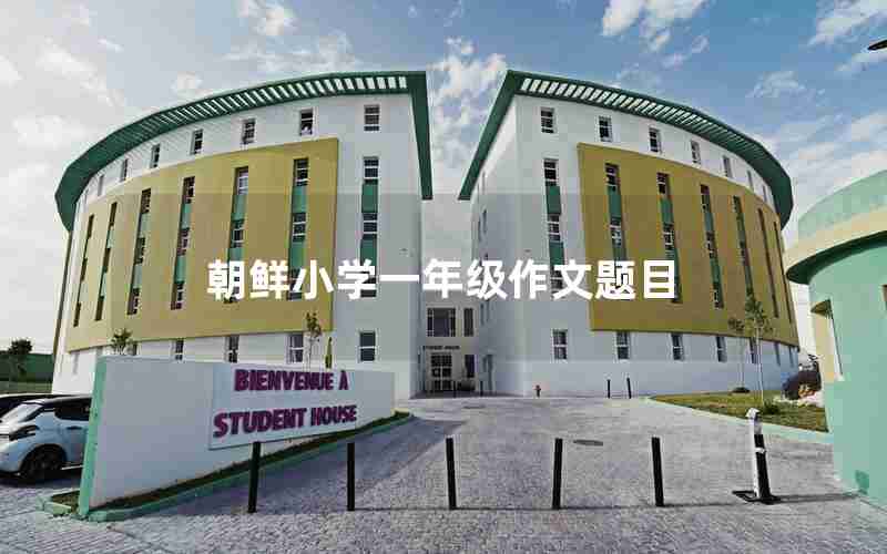 朝鲜小学一年级作文题目