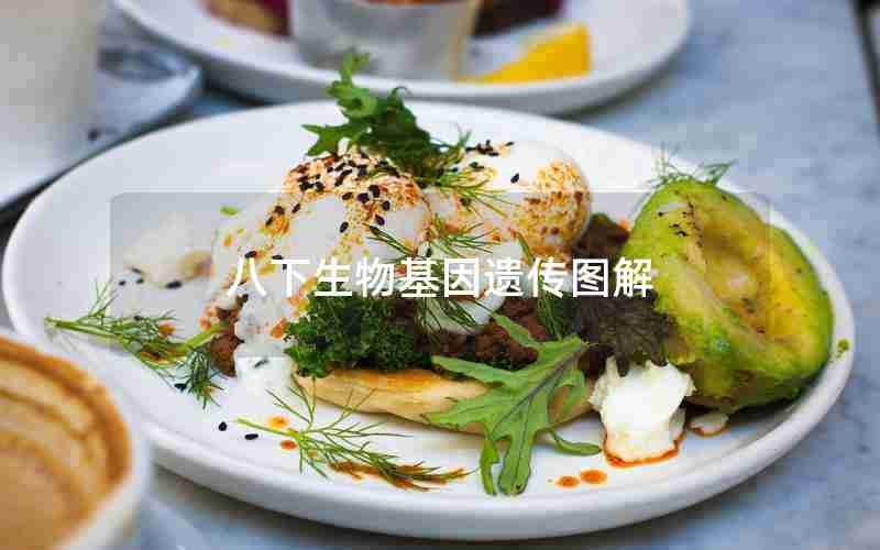 八下生物基因遗传图解