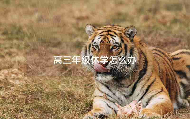 高三年级休学怎么办