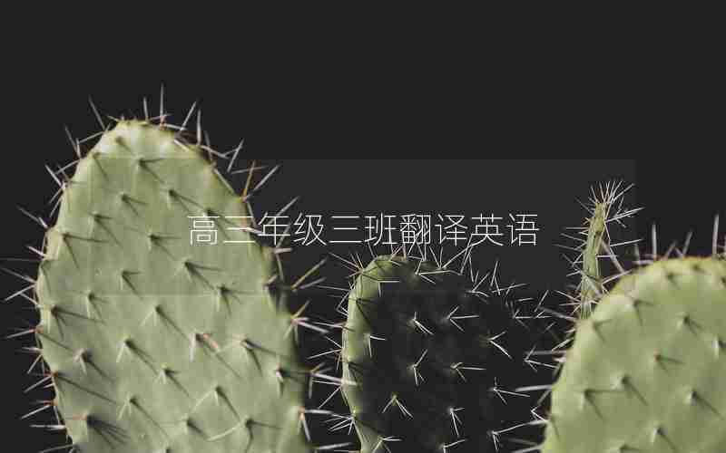 高三年级三班翻译英语