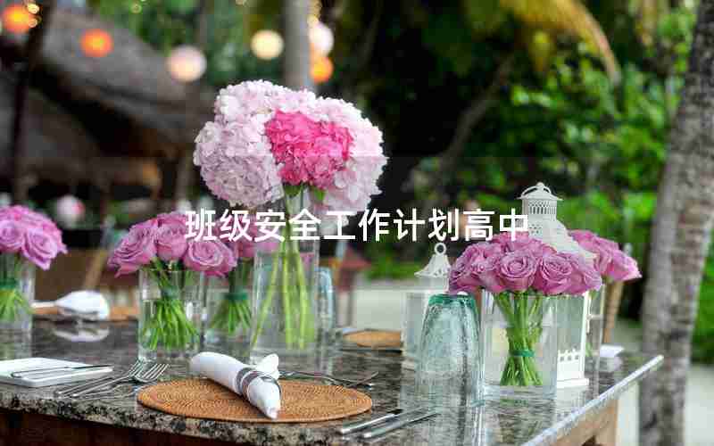 班级安全工作计划高中