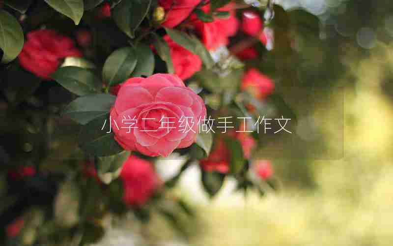 小学二年级做手工作文