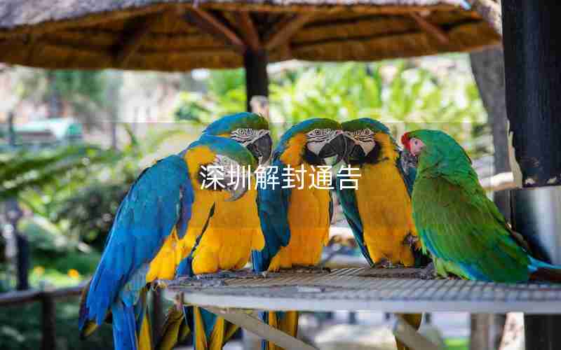 深圳解封通告
