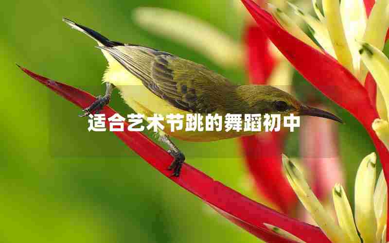适合艺术节跳的舞蹈初中
