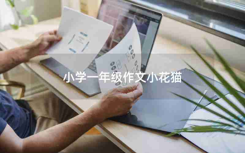 小学一年级作文小花猫