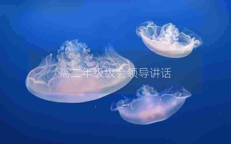 高二年级级会领导讲话