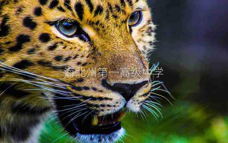 海北州第一高级中学