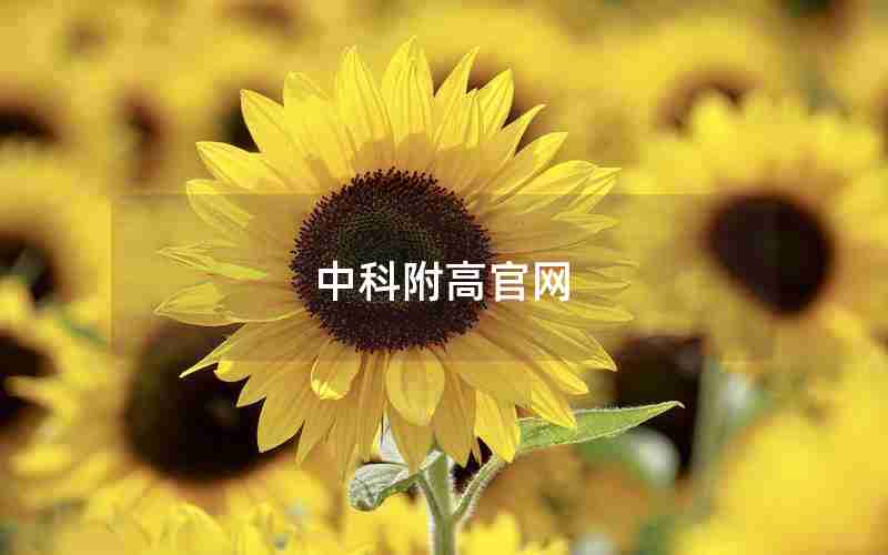 中科附高官网