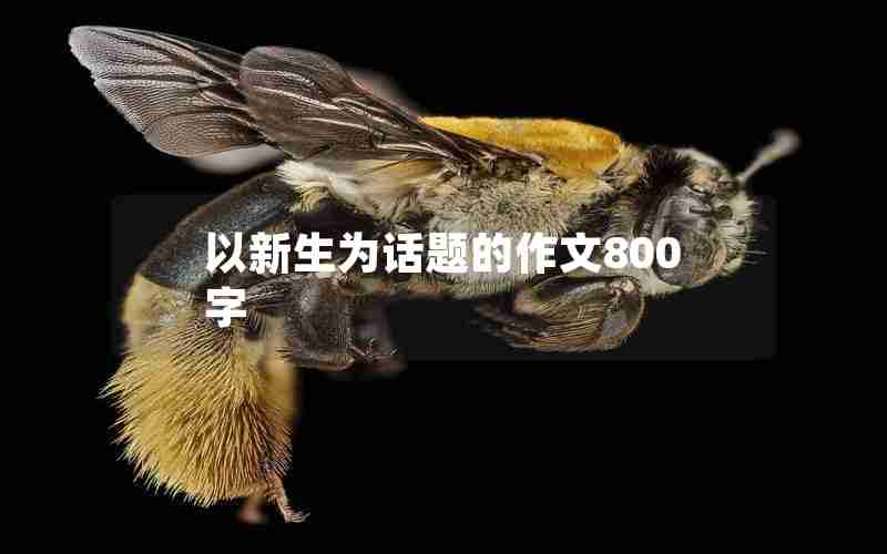 以新生为话题的作文800字