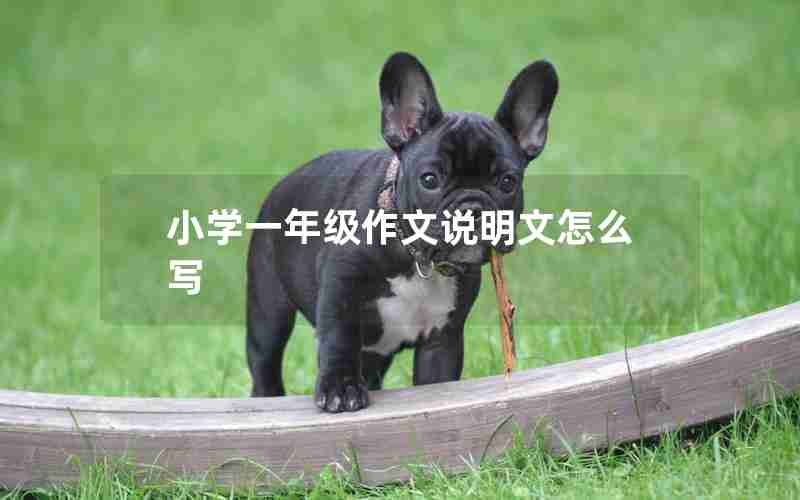 小学一年级作文说明文怎么写