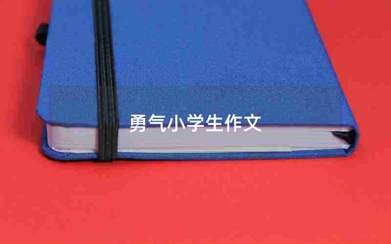 勇气小学生作文
