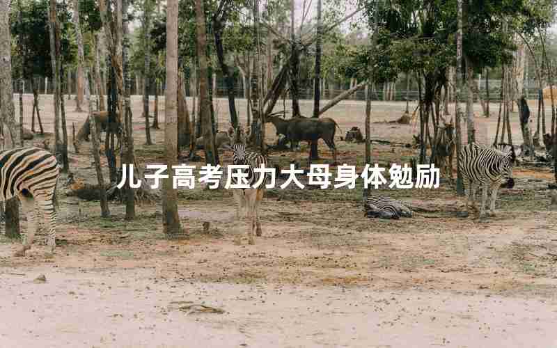 儿子高考压力大母身体勉励