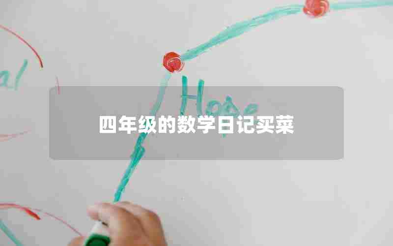 四年级的数学日记买菜